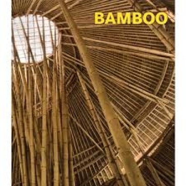 BAMBOO-9783741914003