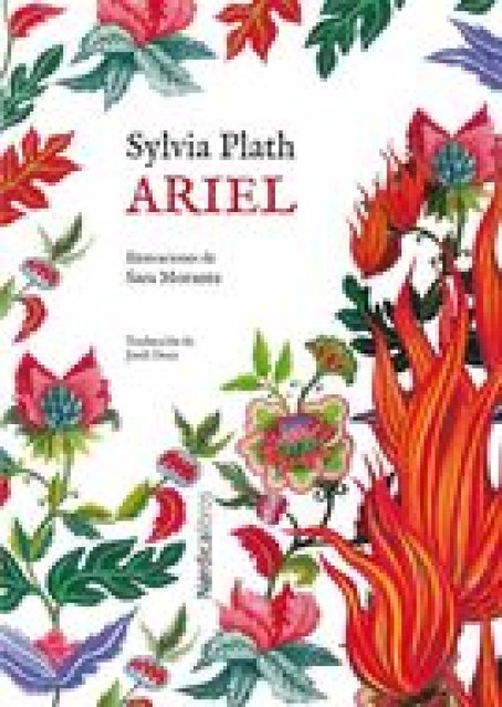 ARIEL-9788418067952