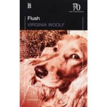 FLUSH-9789500399722