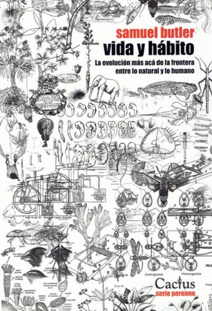 VIDA-HaBITO-9789872922429