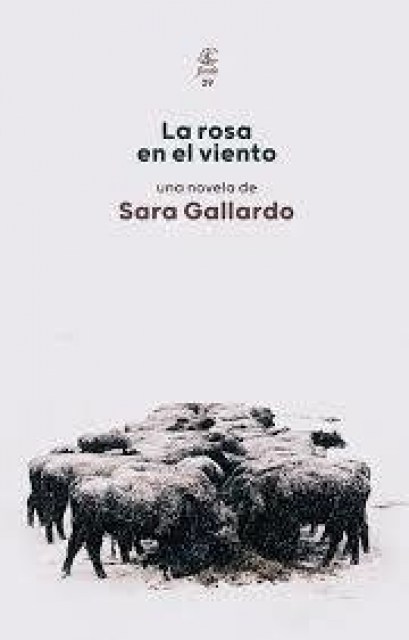 ROSANL-VIENTO-9789874178381