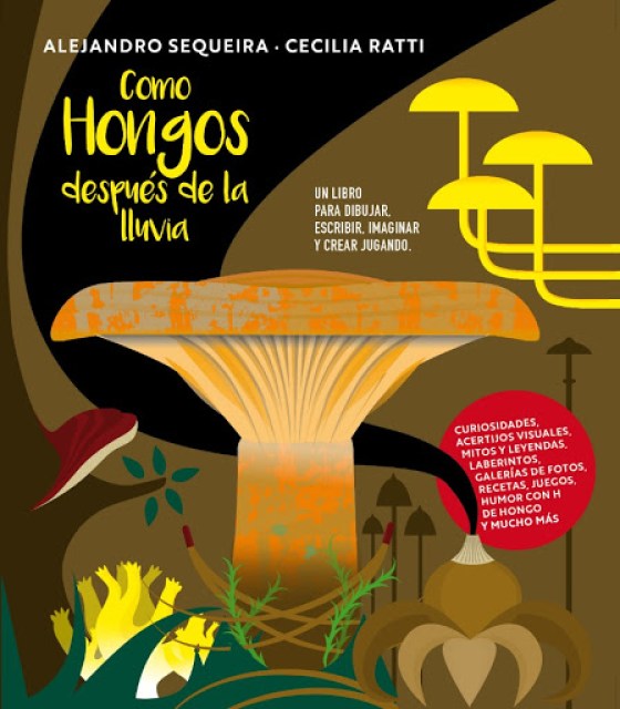 COMO-HONGOSSPUES-LLUVIA-9789974948129